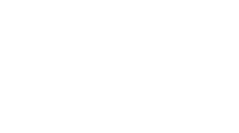 DigiFox iGaming marketing solutions logo in white